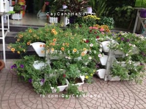 chau-hoa-trieu-chuong-trong-ban-cong-300x224 Cây hoa triệu chuông