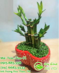 Cây phát lộc - Tài lộc vinh hoa, muôn đời vượng phát 5