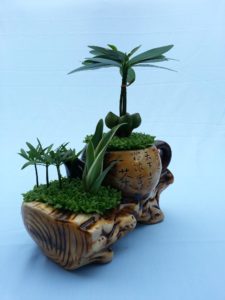 Cây tài lộc - Đem lại đại may mắn để bàn cực xinh 6